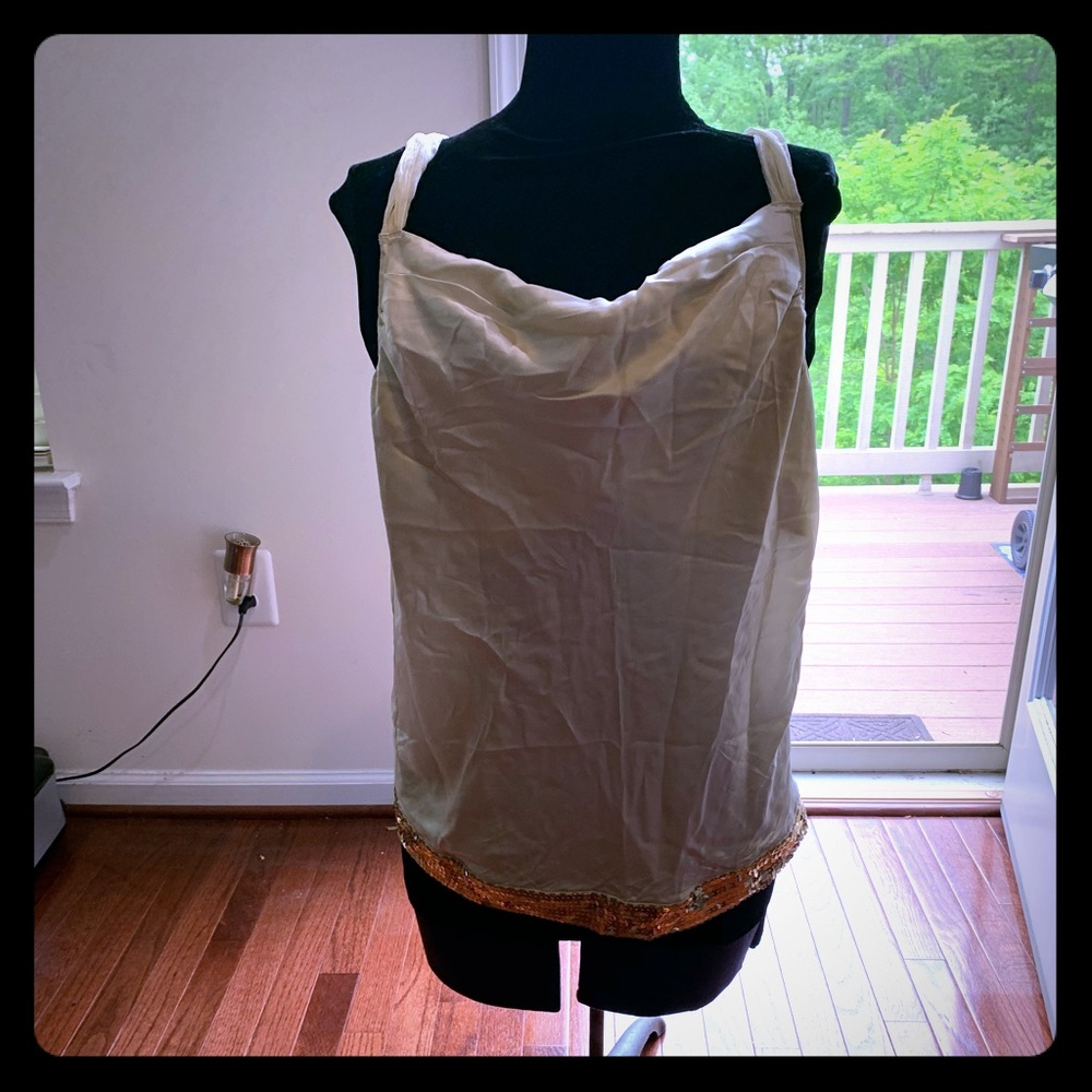 Champagne top in sz. Large by the Limited